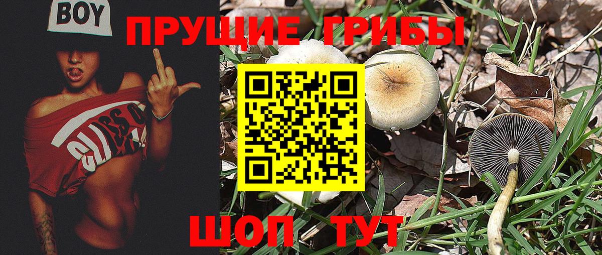 Галлюциногенные грибы мухоморы  Вход с VPN  Владимир 