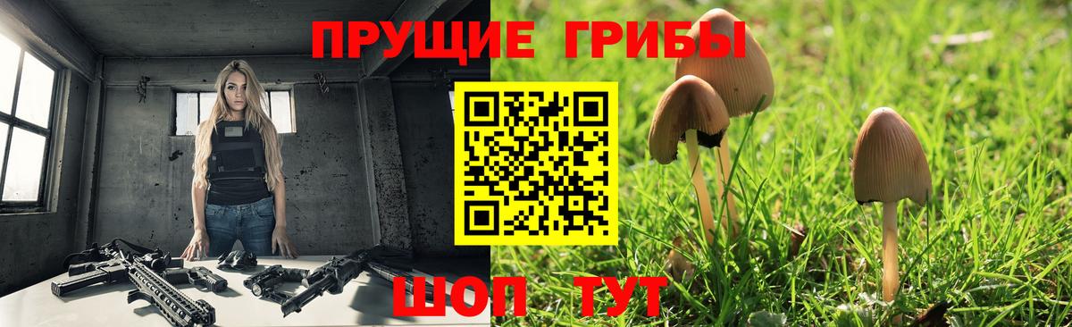 Псилоцибиновые грибы мухоморы Владимир