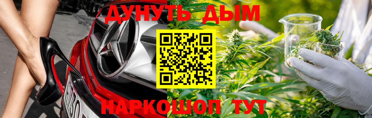 Каннабис White Widow Владимир